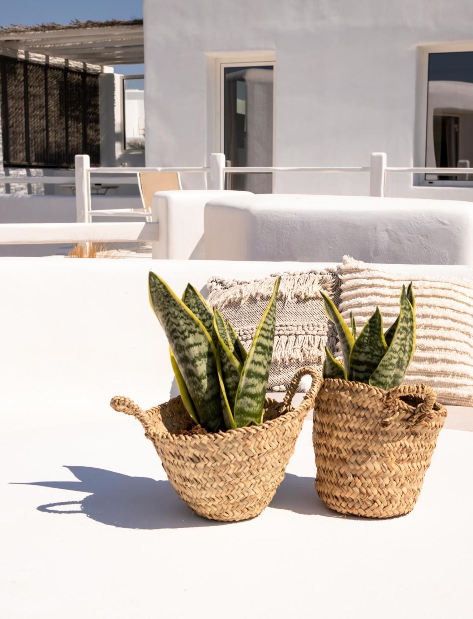 Rocabella Mykonos Hotel Agios Stefanos  Exterior foto